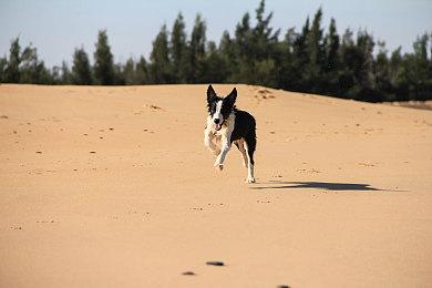  《秋叶原之旅2：导演剪辑版》确定8月1日发售 登陆PS4＆NS＆PC